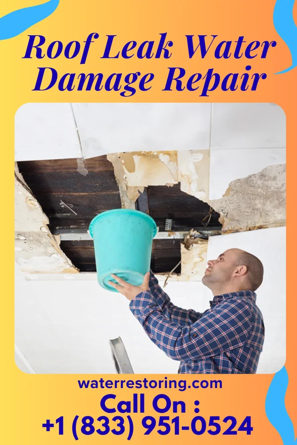Roof Leak Water Damage Repair in Belzoni, MS